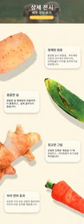 강아지 캔버스 삑삑이 봉제 장난감 음식 모양 반려견 이갈이 놀이용품