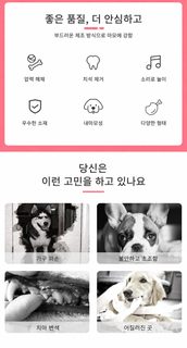 강아지 고양이 딸기 봉제 삑삑이 장난감 반려동물 발성 장난감