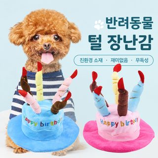 고양이 강아지 생일 케이크 모자 장난감 내구성 만화 끈장난감 반려동물 용