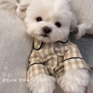 강아지 고양이 체크 잠옷 사계절 반려동물 실내복 소형견 봄여름옷