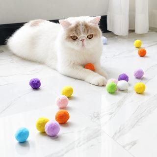 고양이 장난감 고양이 놀리기 음소거 털뭉치 새끼 고양이 오락 자신 답답함