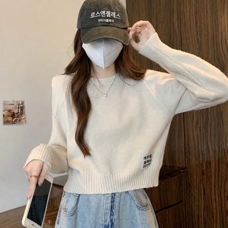 한국판 루즈하고 부드러운 찰스웨터녀 2023 가을/겨울 신상 디자인감 짧은