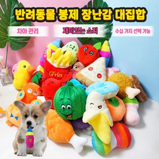 강아지 삑삑이 봉제 장난감 과일 동물 디자인 내구성 좋은 이갈이 반려견