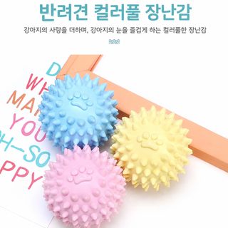 강아지 장난감 이빨 잘 가는 작은 개 새끼 개 공 테디코기 스케일링 강아지