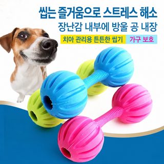 강아지 이를 가는 장난감 TPR 고무 아령 발성 익지 장난감 테디코기 개 장난