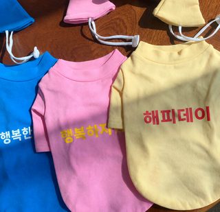 펫 옷 ins풍 한국판 생일 후드티 테디보미 비숑 작은 개 고양이 강아지 봄 여