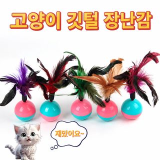 고양이 장난감 오뚝이 깃털 공 아기 고양이 혼자 노는 깨물기 놀이용