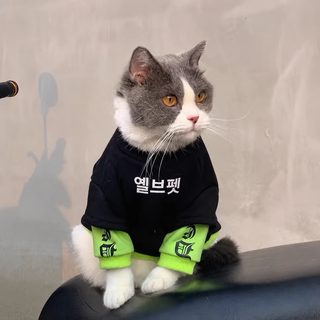 가을과 겨울 붐표 고양이 강아지 옷 인형 고양이 파란 고양이 털 제거 방지