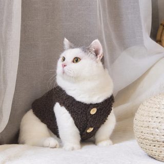 도매 고양이 가을 겨울 털 방지 캐시미어 귀여운 조끼 조끼 인형 고양이 블루 고양이 애완동물 옷