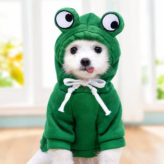 강아지 겨울 후드티 기모 보온 녹색 개구리 맨투맨 애견 의류