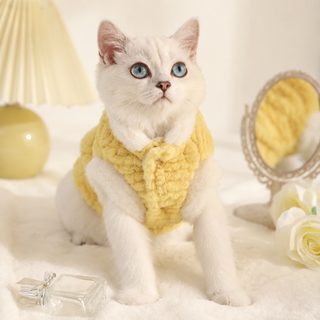 애완동물 고양이 옷 기모 보온 조끼 조끼 가을 겨울 인형 고양이 새끼 고양