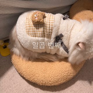 고양이 옷 곰돌이 양털 조끼 반려묘 보온 겨울 털 빠짐 방지 카툰 베스트