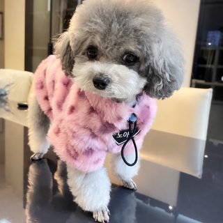강아지 옷 가을 겨울 보온 두꺼운 애완동물 비숑 보미 테디 요크셔 소형견
