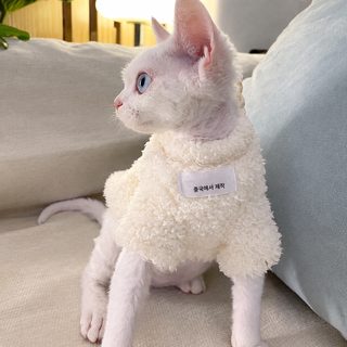 겨울 ins 고양이 옷 겨울 보온 가모 맨투맨 은 점층 무모 고양이 인형 고양이