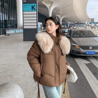 큰 털넥 짧은 패딩 면복녀 2024 가을겨울 신상 한국판 작은 키에 두꺼운 면저