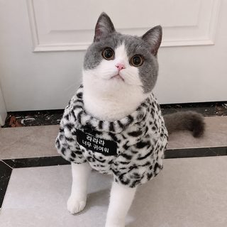 울트라 귀여운 고양이 방한 보온 기모 두꺼운 호피 무늬 옷 인형 고양이 은