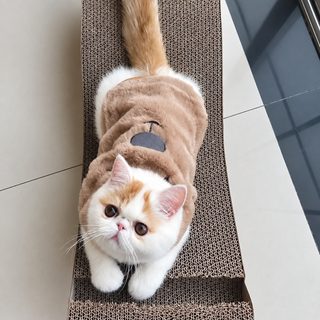 고양이 강아지 겨울 조끼 보온 기모 패딩 베스트 소형견 고양이옷