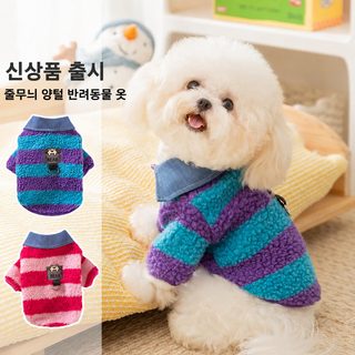 강아지 겨울 보온 스트라이프 셔츠 카라 의류 소형견 테디 비숑 요크셔테리