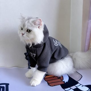 애완동물 옷 가을 겨울옷 고양이 서양식 보온 기모 후드 후드 인형 고양이 남색 고양이 수컷 고양이 옷
