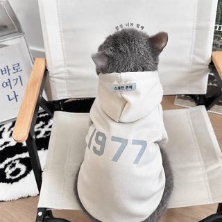 고양이 겨울 보온 기모 후드티 랙돌·러시안블루·아기고양이용 반려묘 의