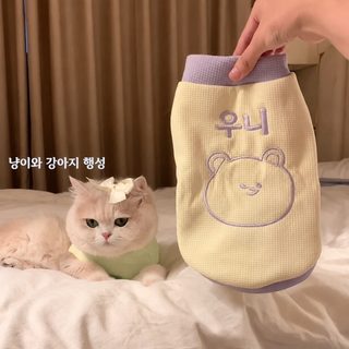 새끼 고양이 옷 겨울 기모 조끼 금 점층 남색 고양이 인형 새끼 고양이 애완