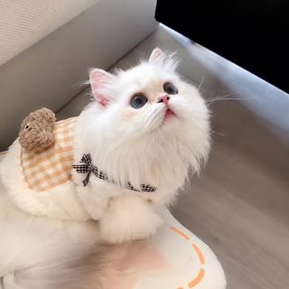 고양이 옷 가을/겨울 털 방지 보온 조끼 영단 인형 금 점층 고양이 애완동물