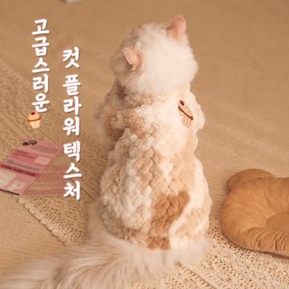고양이 옷 겨울 보온 애완동물 고양이 인형 영단은 점층 고양이 조끼 고양