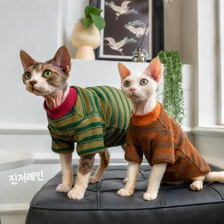 반려묘 데본렉스 고양이 옷 봄가을 얇은 스트라이프 라운드넥 티셔츠