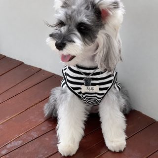 강아지 봄여름 얇은 스트라이프 셔츠 조끼 소형견 테디 베스트
