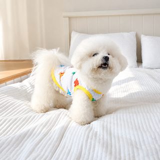 반려견 옷 여름 얇은 메시 통풍 방충 조끼 끈 작은 강아지 고양이 귀여운 옷