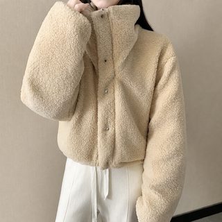 短款外套女韩版翻领仿羊羔毛棉服宽松双面穿长袖面包服外搭棉衣冬