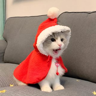 고양이 크리스마스 빨간망토 겨울 보온 반려동물 케이프 강아지 숄