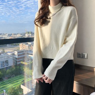하프 터틀넥 가을/겨울 긴팔 니트 2025 신상 니트 감미로운 바람 짧은 커버