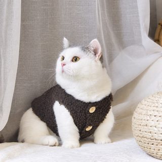도매 고양이 가을 겨울 털 방지 캐시미어 귀여운 조끼 조끼 인형 고양이 블