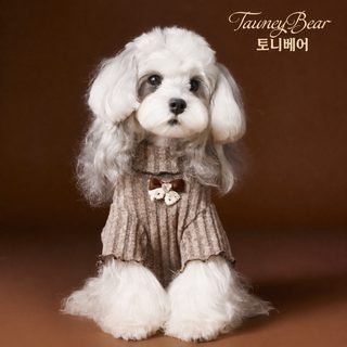 타니베어 암컷 강아지옷 레이스 리본 레깅스 테디 말티즈 봄가을 겨울 애견