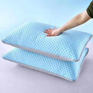 48x74cm 봉투형 베개 커버 베갯속 보호 진드기·먼지·땀 방지 커버