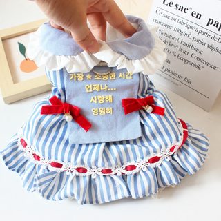 강아지 고양이 도망간다 공주 치마 비숑 테디 작은 개 귀엽다 보온 두껍다
