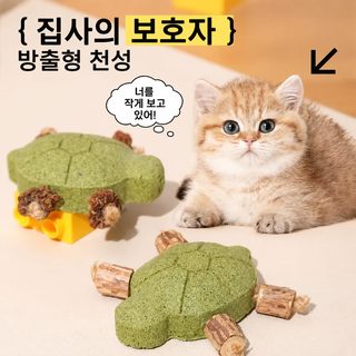 새로운 고양이 장난감 거북이 목천여뀌 이빨 가는 방망이 민트볼 이빨 청소