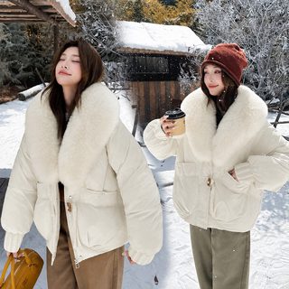 2025 겨울 여성 숏패딩 웰론 패딩 큰 퍼카라 여유핏 작은 키 데일리 캐주얼