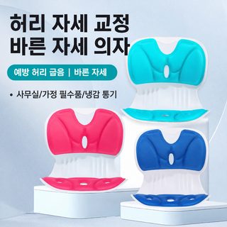 인공허리보호방석_뚱뚱2오래 앉아