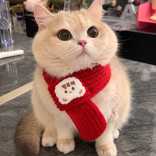반려동물 곰돌이 크리스마스 니트 스카프 고양이 강아지 보온 목도리