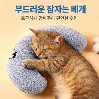 새로운 애완동물 장난감 고양이 동반 잠 전용 작은 베개 털털 장난감 고양