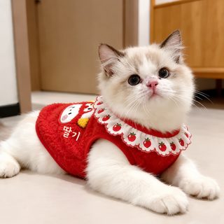 가을과 겨울 고양이 옷 새해복 2026 경사스러운 빨간색 레이스 조끼 조끼 은