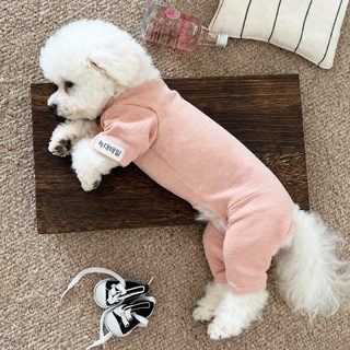 펫 가을/겨울 보온 레깅스 소형견 테디비베어 보미 시나리드 벨벳 스트라이프 점프슈트