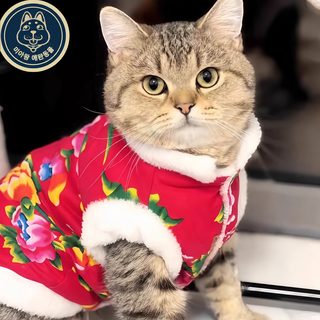 중소형 애완동물 고양이 보온 옷 동동 북대 꽃저고리 강아지 테디 경사 애
