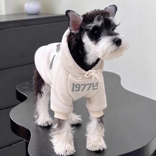 강아지 후드티 가을 겨울 기모 보온 맨투맨 시나리 테디 비숑 소형견 옷