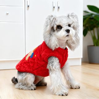 반려견 설빔 기쁜 옷 시나리 비숑 테디 소형견 설빔 보온 기모 겨울옷