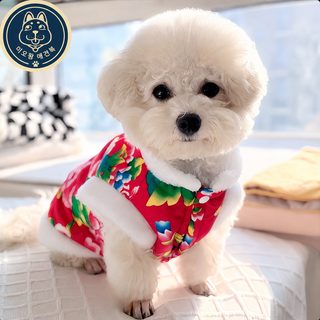 고양이 옷 겨울 새해 테디 동북 큰 꽃 저고리 영단 은 점층 새끼 고양이 보