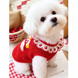강아지 2026 새해 설날 스웨이드 보온 조끼 테디 반려견 가을 겨울옷