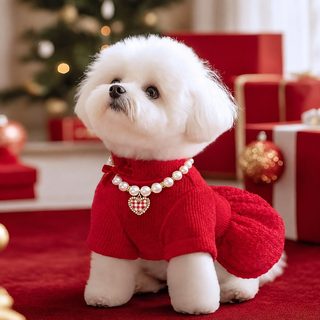 狗狗新年衣服红色小香风结婚礼服小型犬宠物加厚秋冬装保暖连衣裙